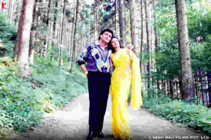 Chandni (1989) with English Subtitles on DVD - Image 3