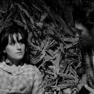 Change of Life (1966) with English Subtitles on DVD
