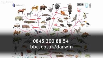 Charles Darwin and the Tree of Life (2009) Starring David Attenborough on DVD - Image 3