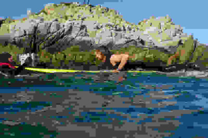 Chasing Mavericks (2012) Starring Gerard Butler on DVD