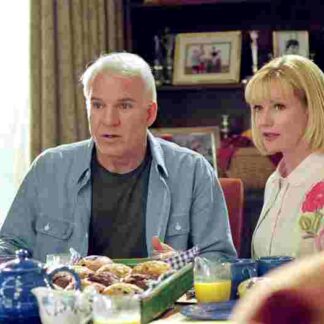 Cheaper by the Dozen (2003) Starring Steve Martin on DVD