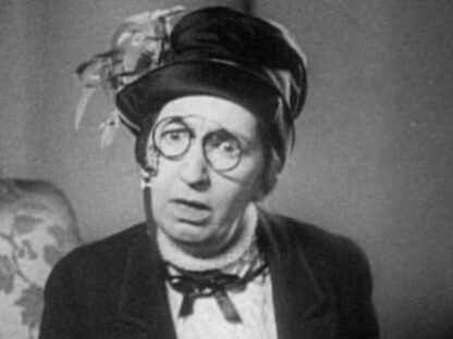 Chickens Come Home (1931) Starring Stan Laurel on DVD - Image 3