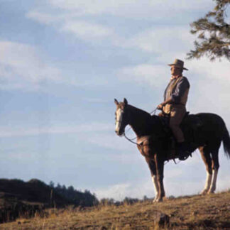 Chisum (1970) Starring John Wayne on DVD