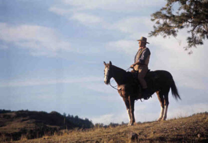 Chisum (1970) Starring John Wayne on DVD