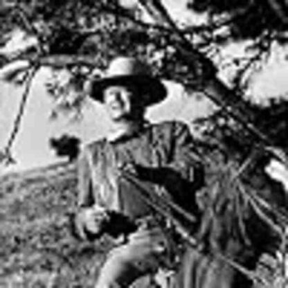 Chisum (1970) Starring John Wayne on DVD - Image 2