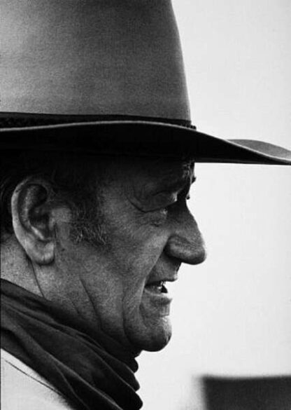 Chisum (1970) Starring John Wayne on DVD - Image 3