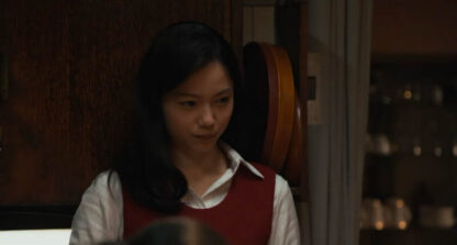 Chronicle of My Mother (2011) with English Subtitles on DVD - Image 3