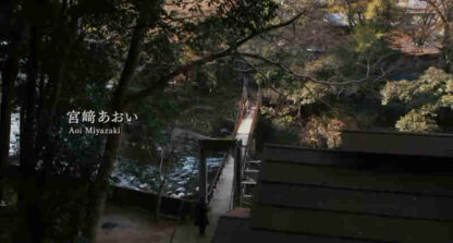 Chronicle of My Mother (2011) with English Subtitles on DVD - Image 4