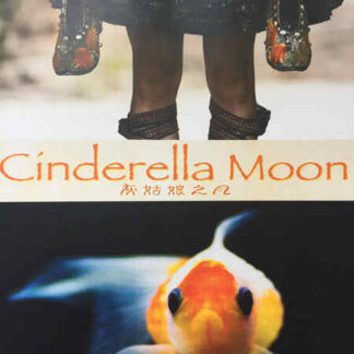 Cinderella Moon (2010) Starring Xiao Min on DVD
