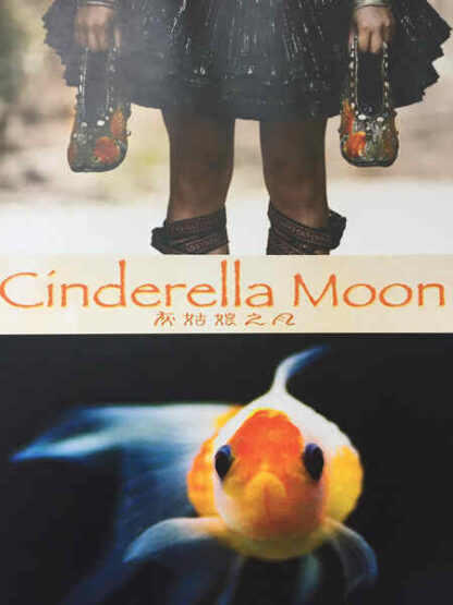 Cinderella Moon (2010) Starring Xiao Min on DVD