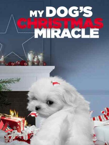 Cinnamon (2011) Starring Cynthia Gibb on DVD - Image 5