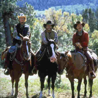 City Slickers (1991) Starring Billy Crystal on DVD