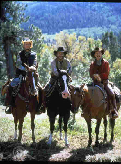 City Slickers (1991) Starring Billy Crystal on DVD