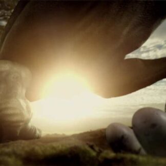 Clash of the Dinosaurs (TV Series 2009–2009) (2009) Starring Jason Hildebrandt on DVD