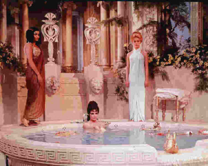 Cleopatra (1963) Starring Elizabeth Taylor on DVD - Image 2
