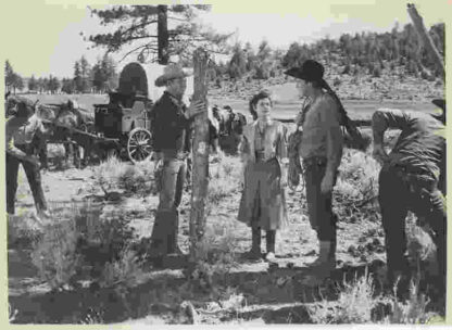 Colorado Sundown (1952) Starring Rex Allen on DVD - Image 2