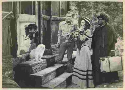 Colorado Sundown (1952) Starring Rex Allen on DVD - Image 3