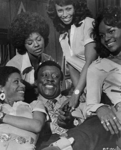 Come Back Charleston Blue (1972) Starring Godfrey Cambridge on DVD