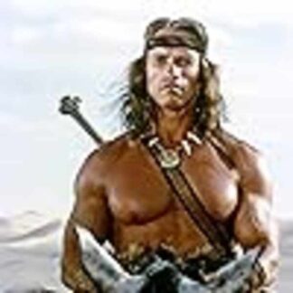 Conan the Destroyer (1984) Starring Arnold Schwarzenegger on DVD