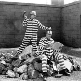 Convict 13 (1920) with English Subtitles on DVD