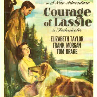 Courage of Lassie (1946) Starring Elizabeth Taylor on DVD