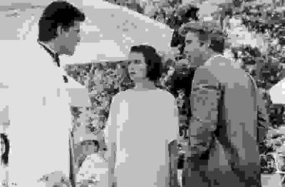 Cousins (1989) Starring Ted Danson on DVD - Image 3