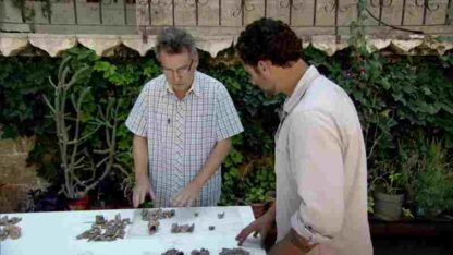 Cradle of the Gods (2012) Starring Tristan Carter on DVD - Image 3