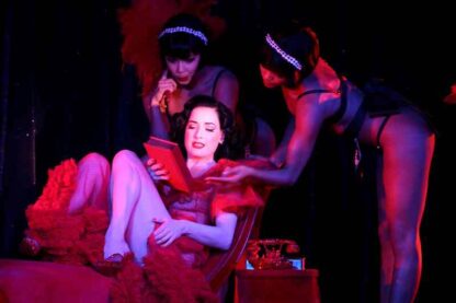 Crazy Horse, Paris with Dita Von Teese (2009) Starring Dita Von Teese on DVD - Image 2