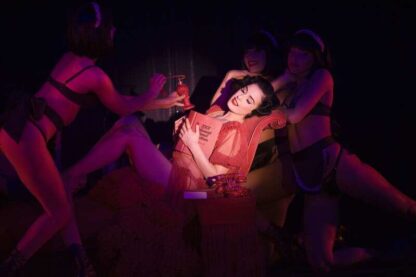 Crazy Horse, Paris with Dita Von Teese (2009) Starring Dita Von Teese on DVD - Image 3