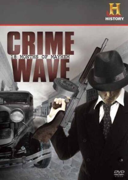 Crime Wave: 18 Months of Mayhem (2008) Starring Dorian Harewood on DVD