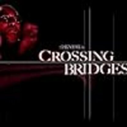 Crossing Bridges (2007) Starring Dan Crowe on DVD - Image 2
