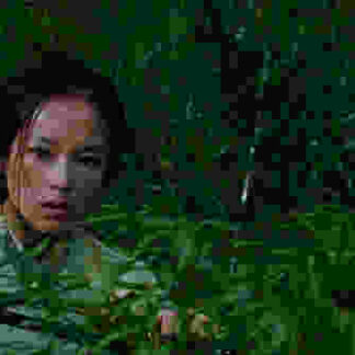 Crouching Tiger, Hidden Dragon (2000) with English Subtitles on DVD