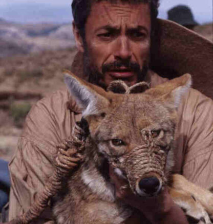 Cuentos de hadas para dormir cocodrilos (2002) with English Subtitles on DVD - Image 2