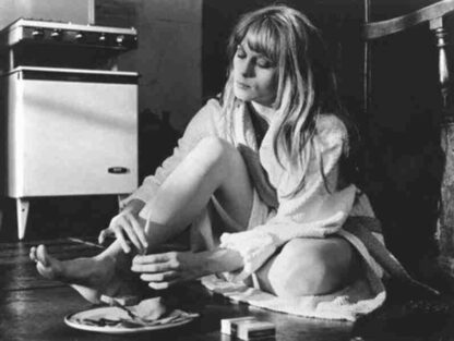 Cul-de-sac (1966) Starring Donald Pleasence on DVD - Image 2
