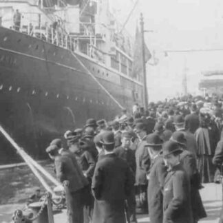 Cunard Vessel at Liverpool (1901) with English Subtitles on DVD