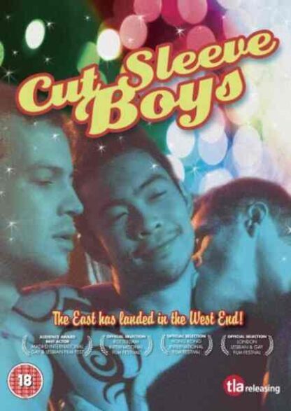 Cut Sleeve Boys (2006) Starring Chowee Leow on DVD - Image 4