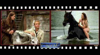 Cwal (1996) with English Subtitles on DVD - Image 2