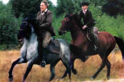 Cwal (1996) with English Subtitles on DVD - Image 4