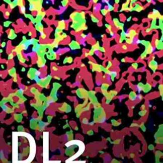 DL2: Disintegration Line #2 (1970) with English Subtitles on DVD