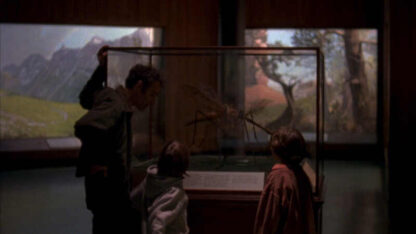 Daddy Longlegs (2009) Starring Ronald Bronstein on DVD - Image 3