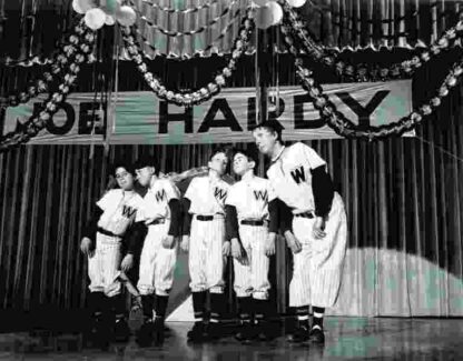 Damn Yankees (1958) Starring Tab Hunter on DVD