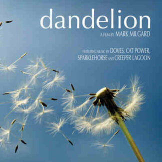 Dandelion (2004) Starring Vincent Kartheiser on DVD