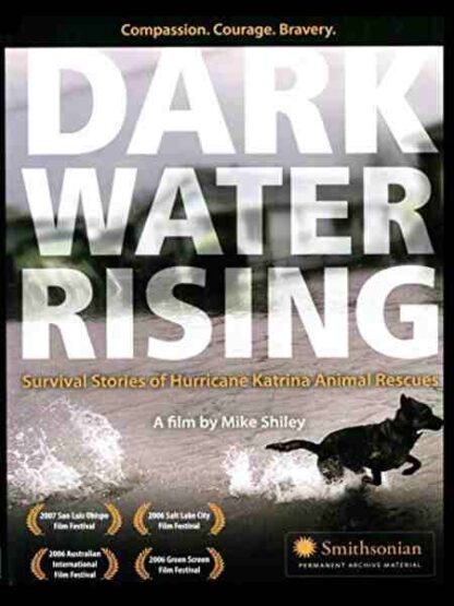 Dark Water Rising: Survival Stories of Hurricane Katrina Animal Rescues (2006) Starring Aaron Minjares on DVD - Image 2