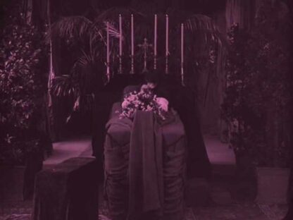 Das Schweigen am Starnbergersee (1920) with English Subtitles on DVD - Image 2