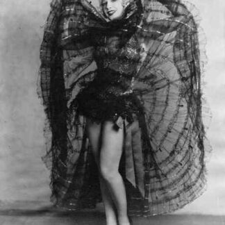 Das Spielzeug von Paris (1925) with English Subtitles on DVD