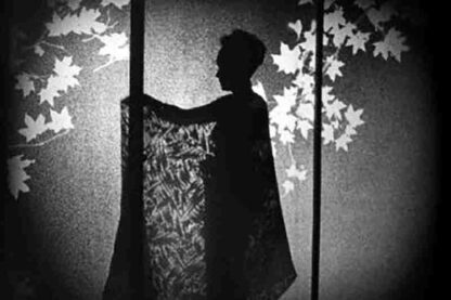 Das Spielzeug von Paris (1925) with English Subtitles on DVD - Image 4