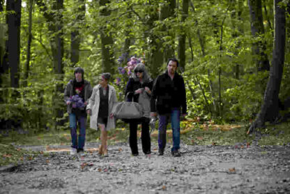 David et Madame Hansen (2012) with English Subtitles on DVD - Image 3