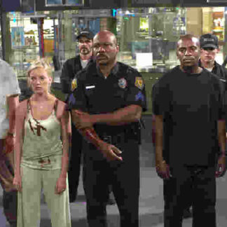 Dawn of the Dead (2004) Starring Sarah Polley on DVD