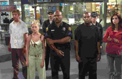 Dawn of the Dead (2004) Starring Sarah Polley on DVD