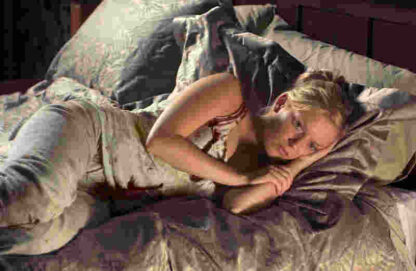 Dawn of the Dead (2004) Starring Sarah Polley on DVD - Image 4